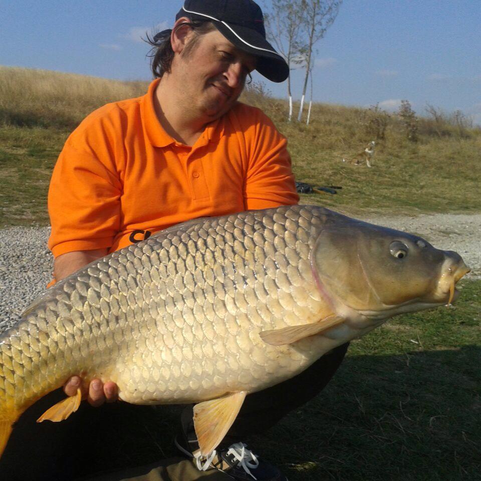 eu - 106659299826695384268835700444962929934806n1.jpg